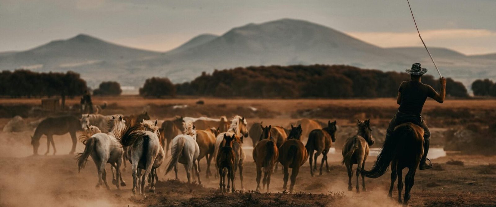 pexels-osmanarabaciart-19511448